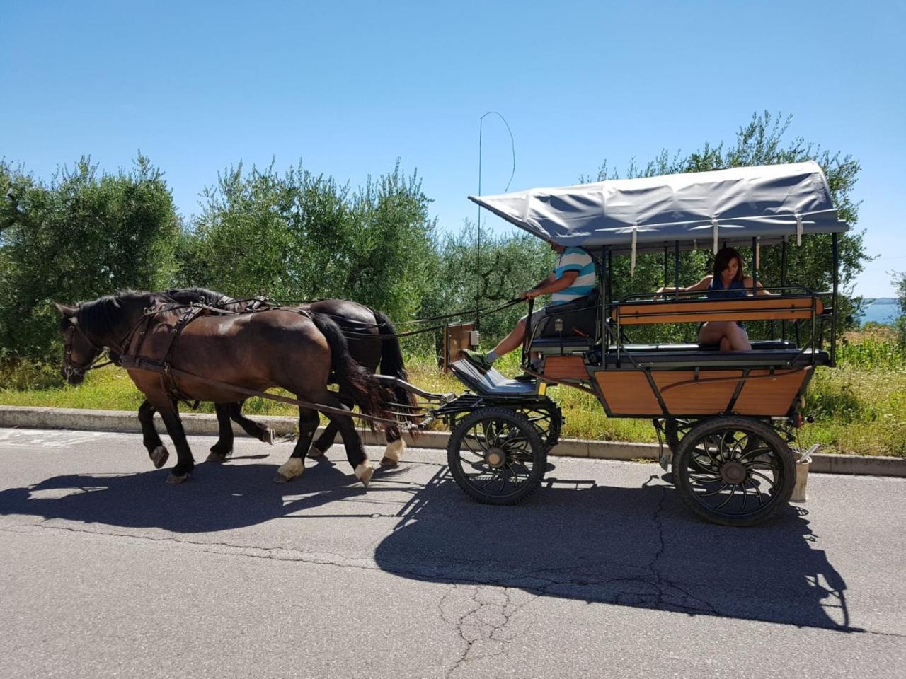 Lamasu Rioverde - Lago Di Garda San Felice del Benaco Bagian luar foto